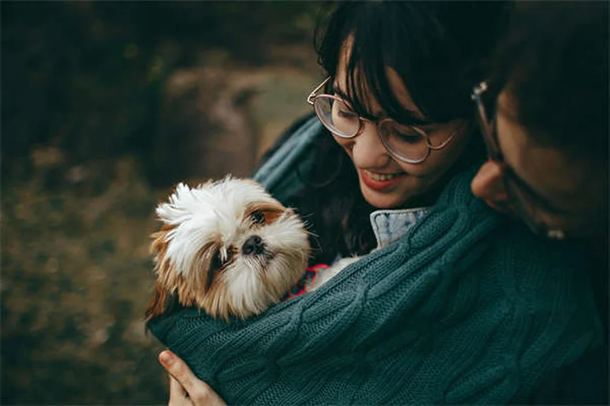 子犬の成長が遅い原因とは？獣医師が教える5つのポイント